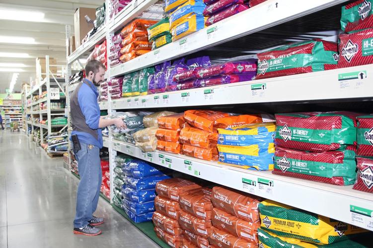 PROGRESS Menards completes major remodeling in Spencer, Sioux City