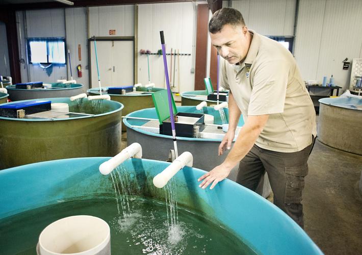 Pallid Sturgeon Hatchery