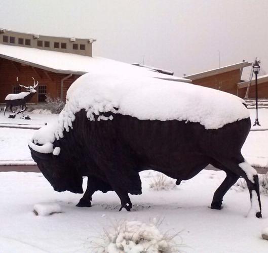 Lewis and Clark Encounter Center offers buffalo program for kids