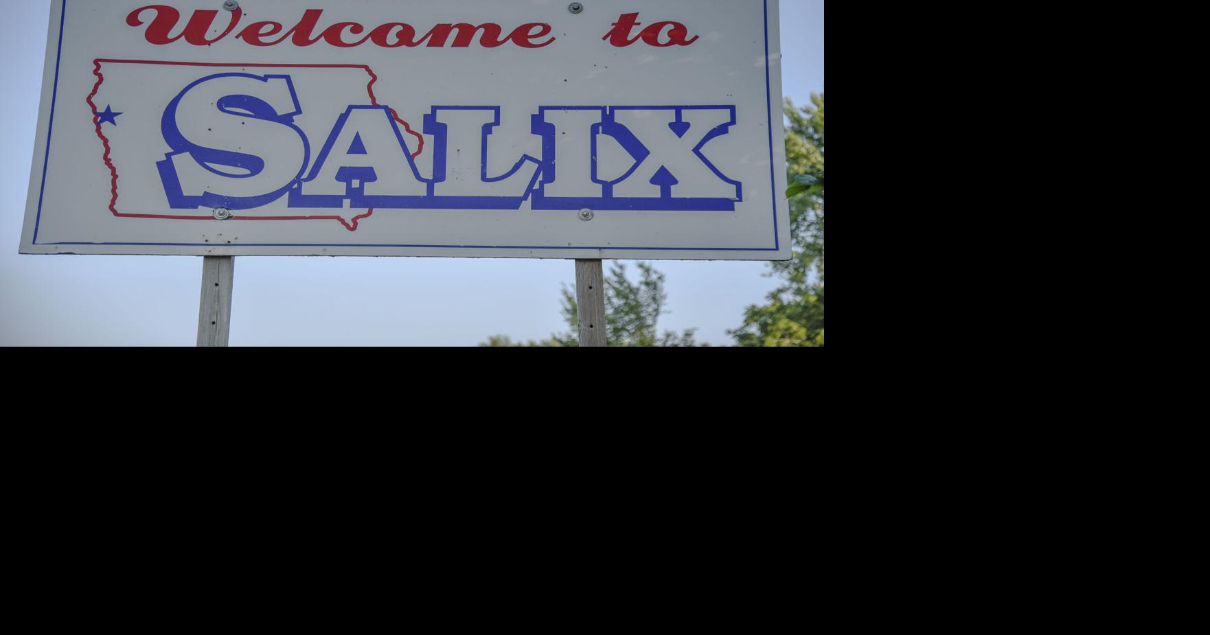 Google proposes to reimburse Salix for independent advisors to review data center project