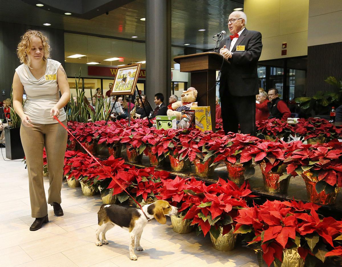 2015 Little Yellow Dog Auction
