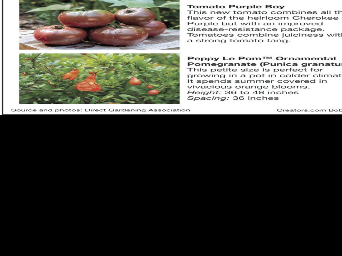 Green Thumb Awards Plant Winners Announced Siouxland Homes Siouxcityjournal Com