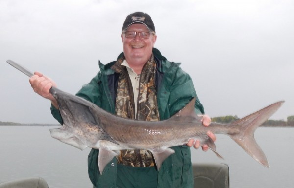 Missouri updates paddlefish regulations, Sports