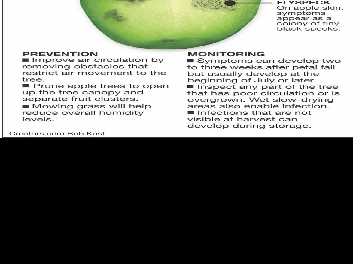 Prune Apple Trees Use Fungicide To Prevent Disease Siouxland Homes Siouxcityjournal Com