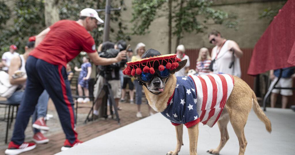 Fourth of July tips, what happened between Britney Spears and Victor Wembanyama, and more of the week's top news - Vimarsana News