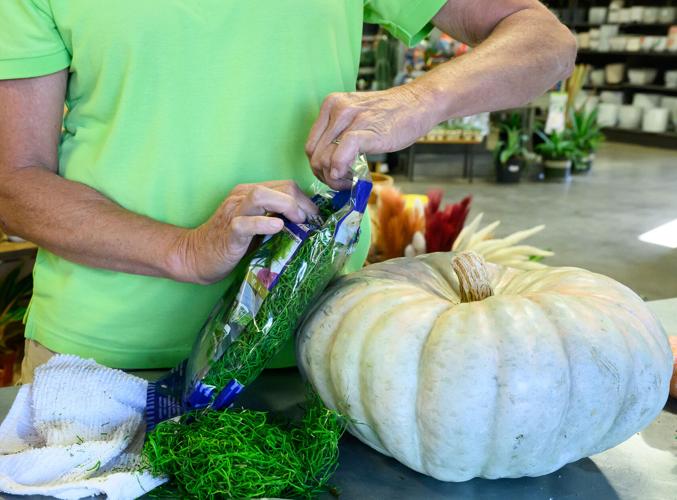 Fall decor
