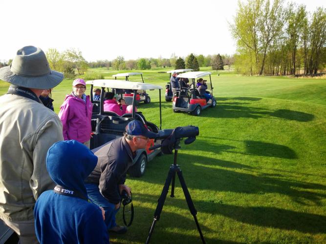 Birding on the Green