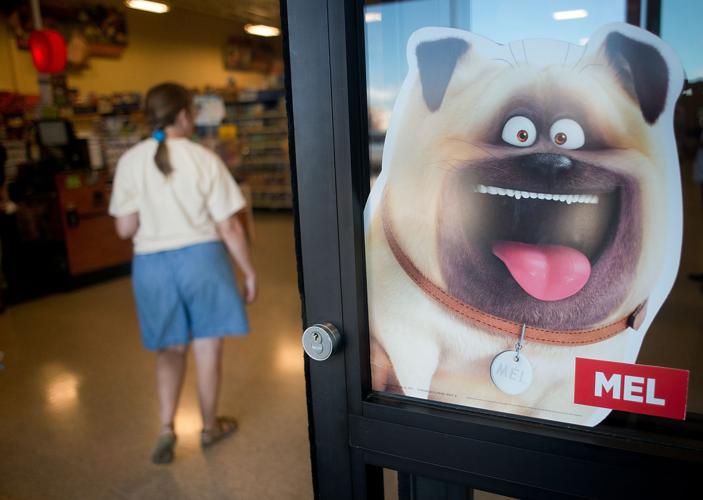 Pets Movie