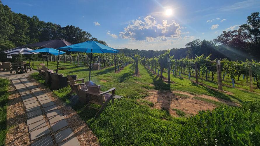 Bedford County introduces Craft Beverage Trail Local News