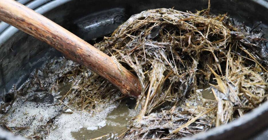 Virginia growers adopt JADAM’s all-natural enhancements for soil health and crop protection