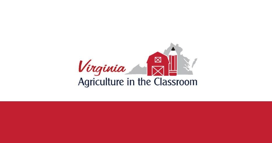 Bedford educator named Virginia AITC Teacher of the Year