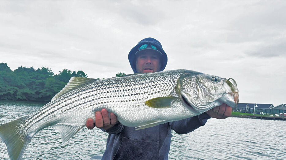 bass 釣り Chris Zaldain – Bates Fishing Co.