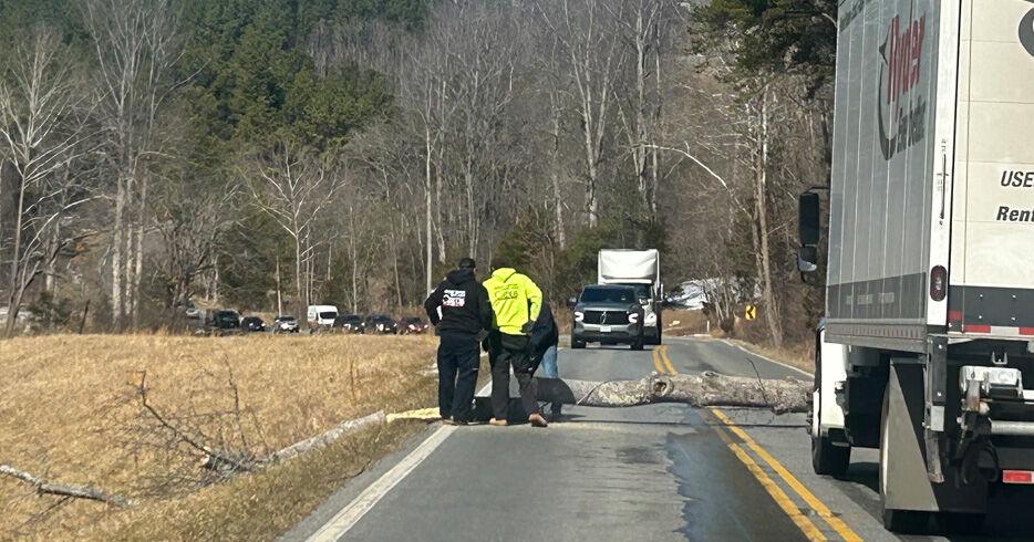 Traffic blocked on Hardy Road due to downed tree