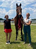 New Life Center for Thoroughbreds bringing hope to ex-racehorses