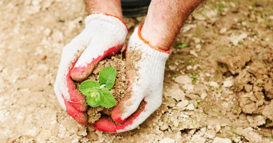 Emergency loans available for farmers in nine counties designated natural disaster areas