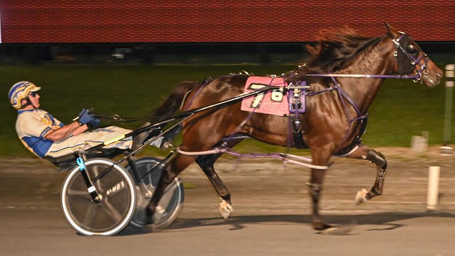 Two-year-olds shine at Maryland Sire Stakes | Local News | somdnews.com