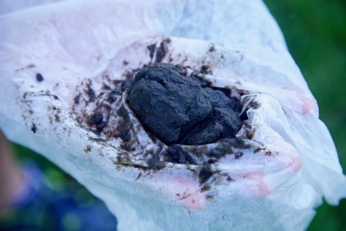 Oyster aquaculture continues to grow in Southern Md. Spotlight