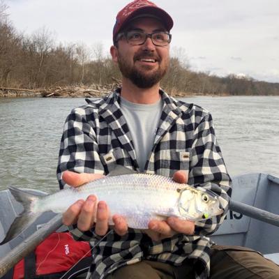 Catching shad is another sign that fishing season is here, Outdoors
