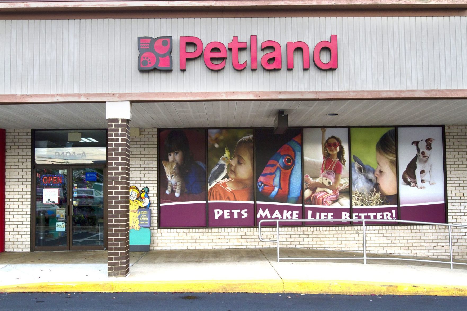 Petland best sale fairfax puppies