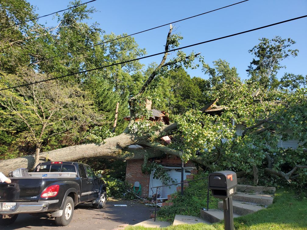 Downed trees, flooded roads and disappearing bridges in Calvert News