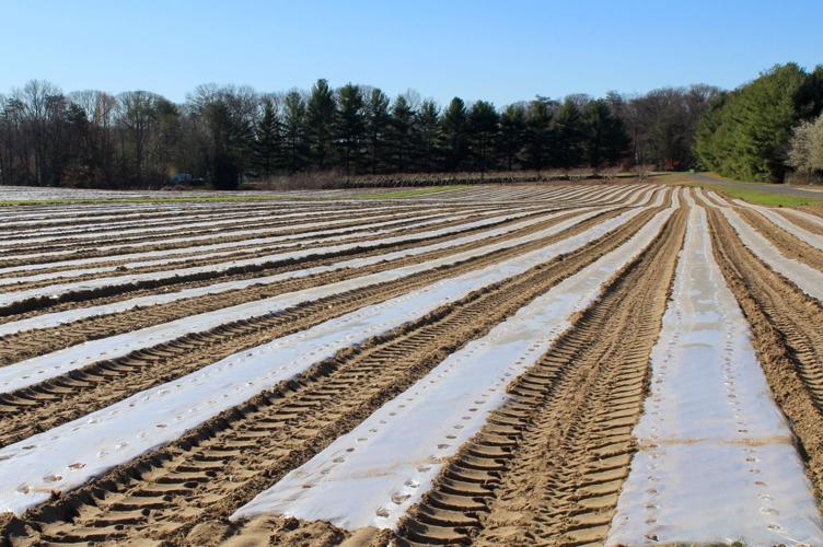 The faces of farming Swann Farms Spotlight