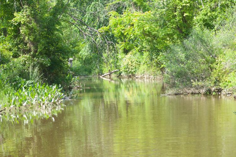 Tour the Port Tobacco River from your phone | Local News
