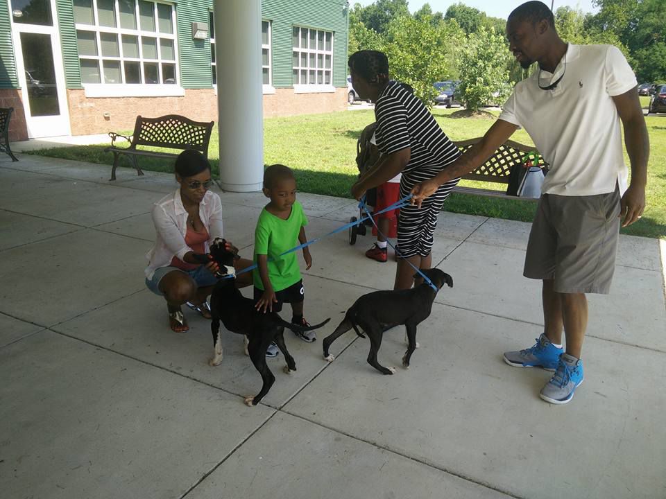 Animal Services Facility, NBC4 host “Clear the Shelters” pet adoption
