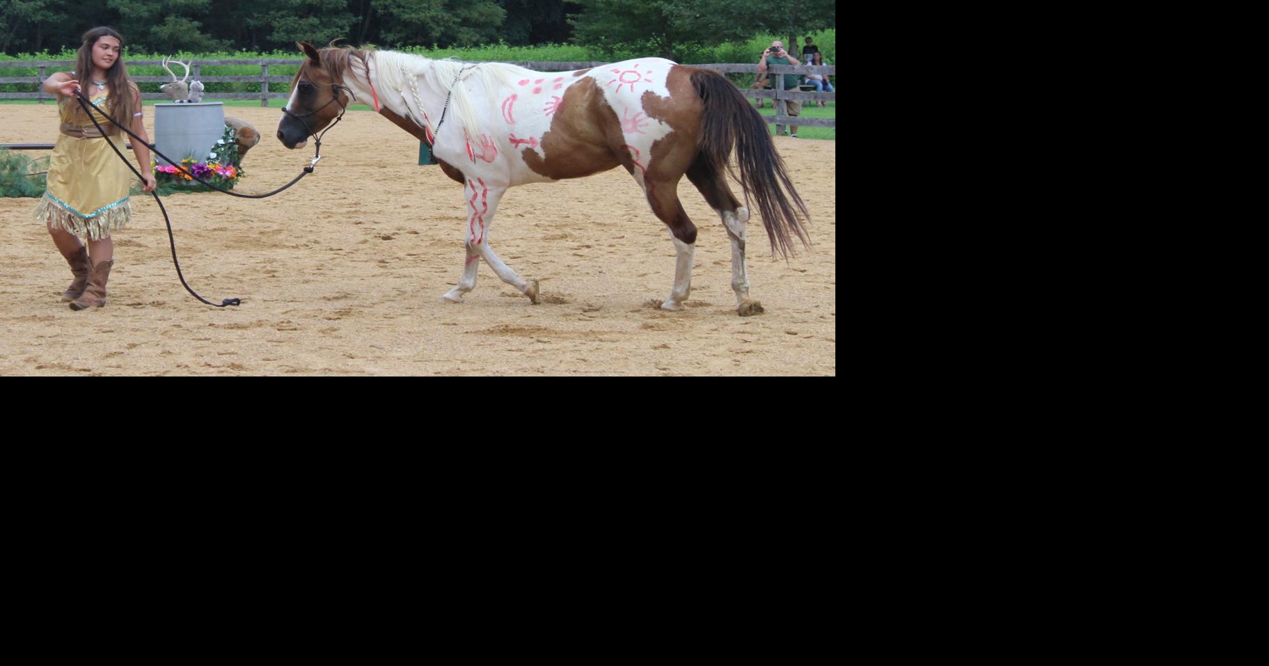 Rescue horses strut their success at SOFE competition | Local News ...