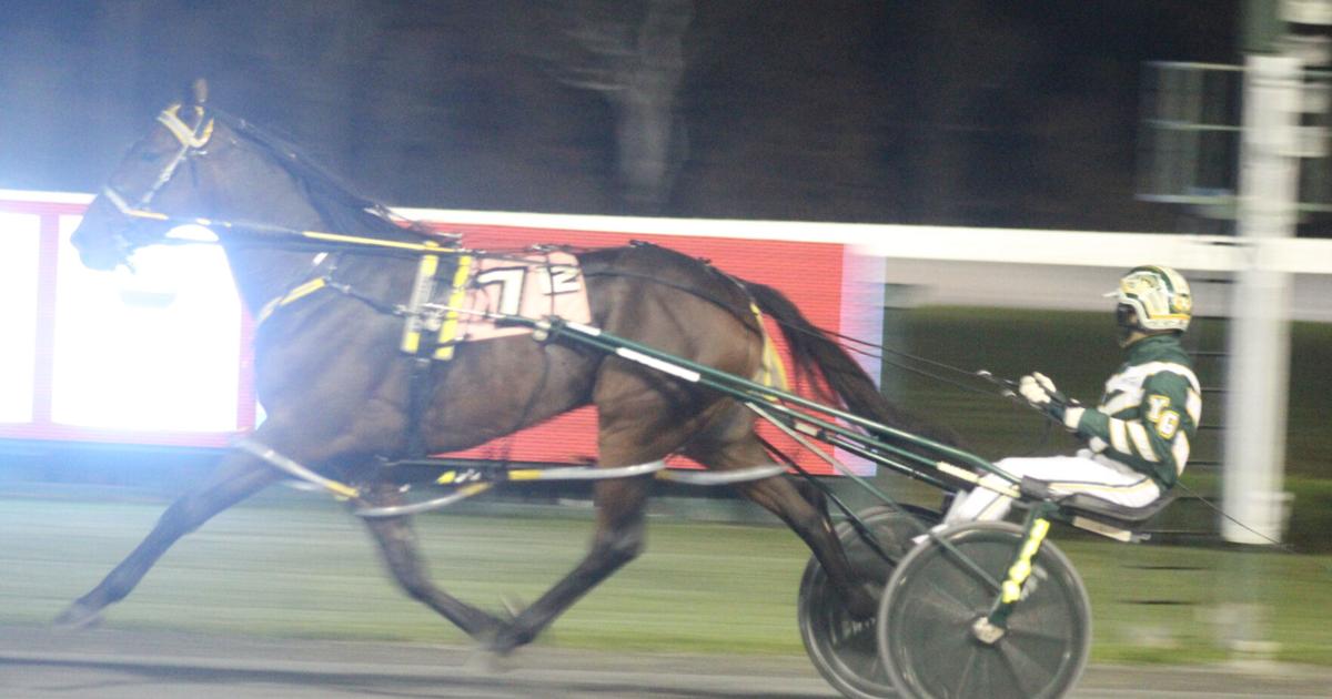Rosecroft Raceway hosts Potomac Pace | National | somdnews.com
