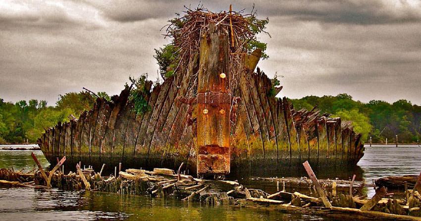 Shipwrecks Lie Hidden In Southern Maryland Waters Local News Somdnews Com Shipwrecks Lie Hidden In Southern Maryland Waters Local News Somdnews Com