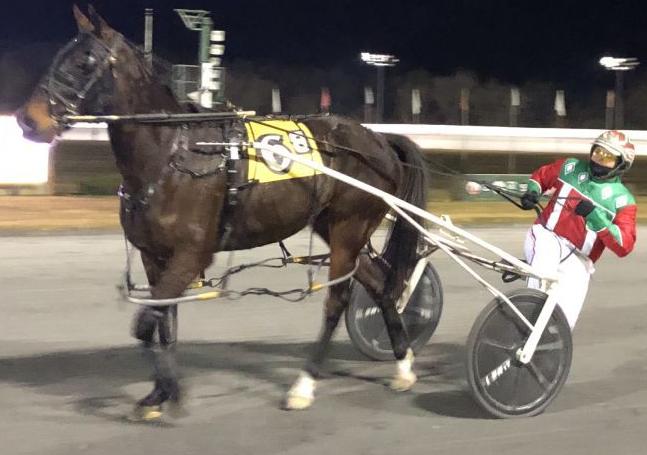 Older pacers continue to shine at Rosecroft