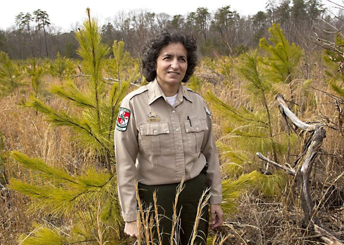 Southern Maryland’s first state parks still stand out | News | somdnews.com