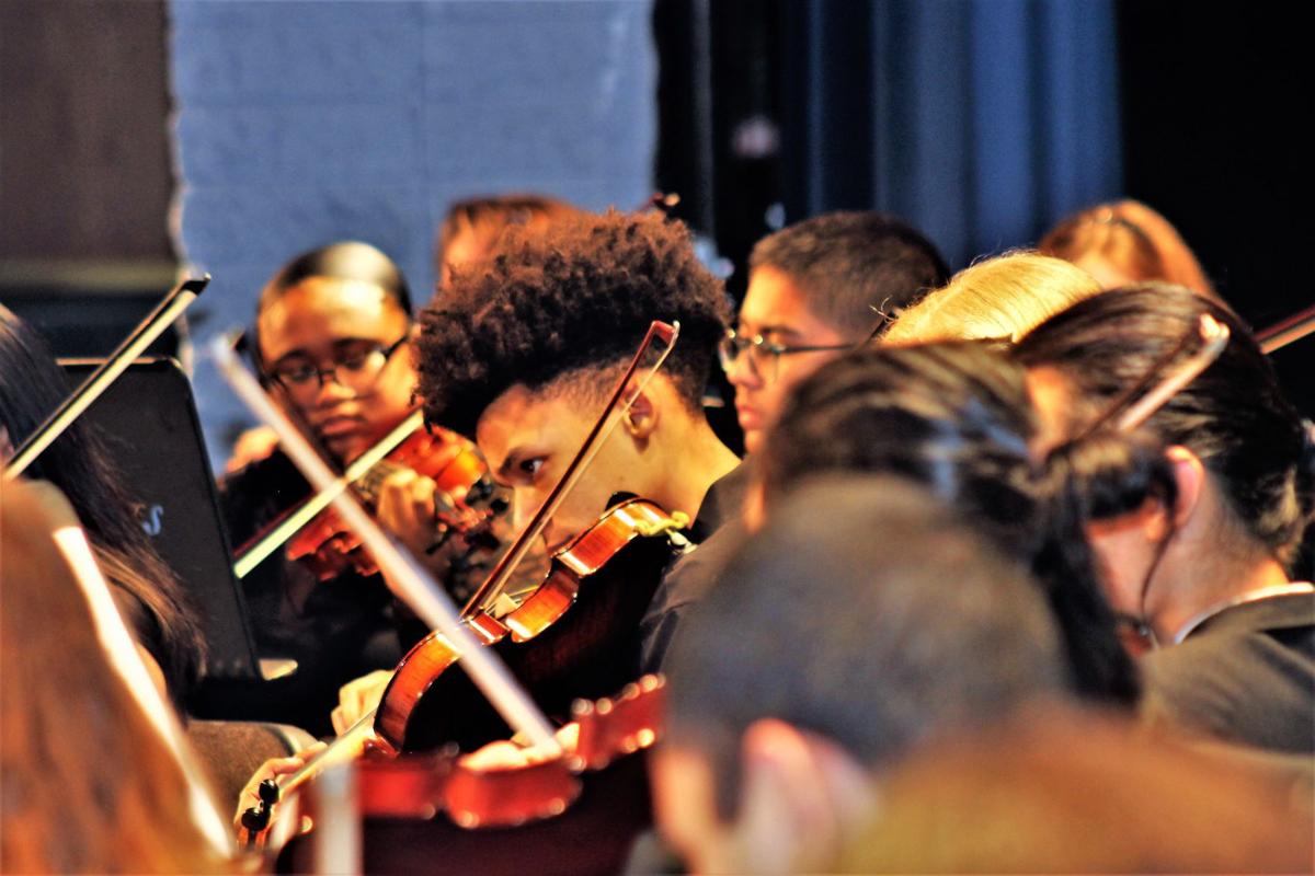 Concentrating violin