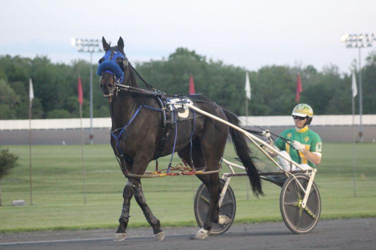 Local harness horsemen continue to compete