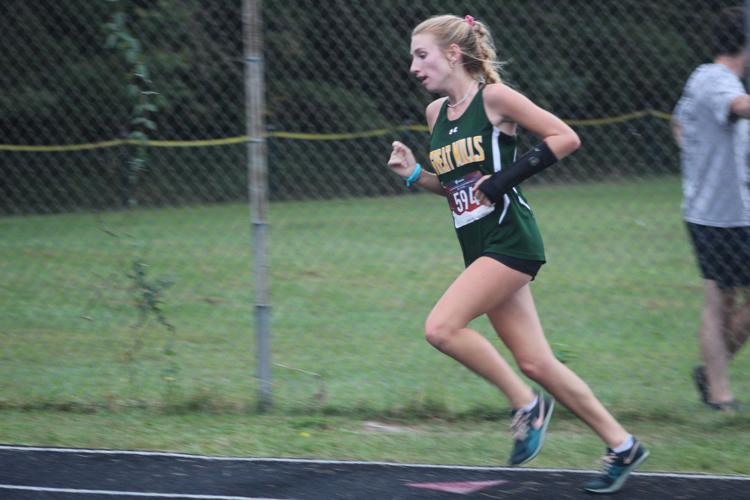 SMAC runners compete at state cross country meet