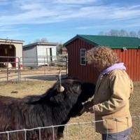 Saying hello | Multimedia | somdnews.com