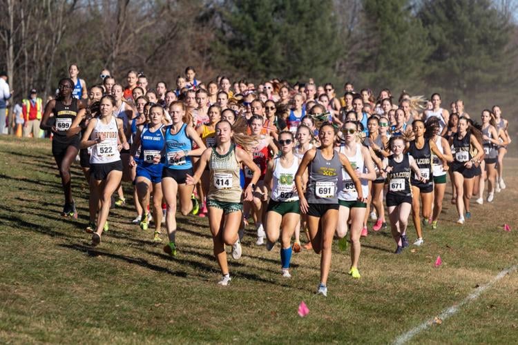 SMAC runners place at state cross country