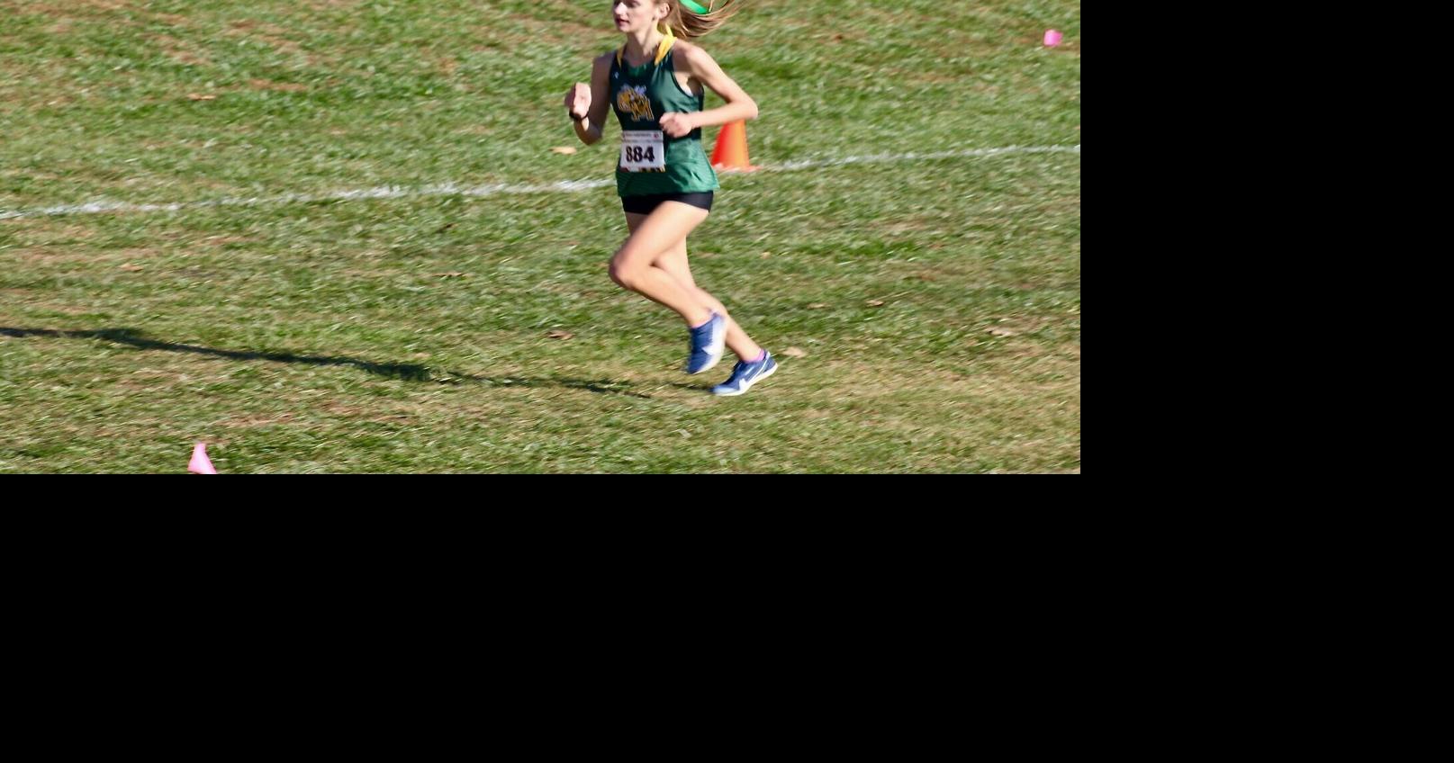 SMAC runners shine in state cross country meet | High School | somdnews.com