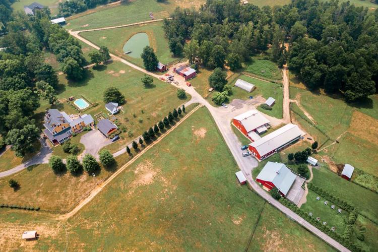 Historic mansion and boutique farm in Brandywine heads to auction | Local  News | somdnews.com