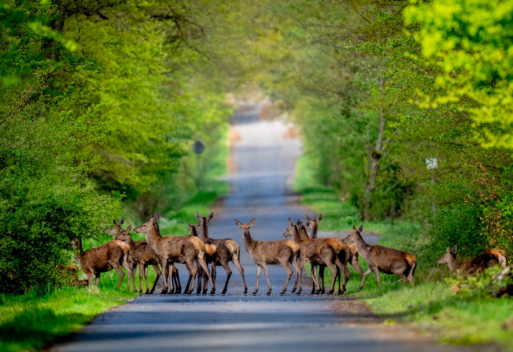 AP Photographers Capture Stunning Scenes Of Nature And Wildlife In 2024 ...