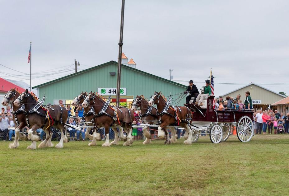 2018 St. Mary's County Fair photos Spotlight
