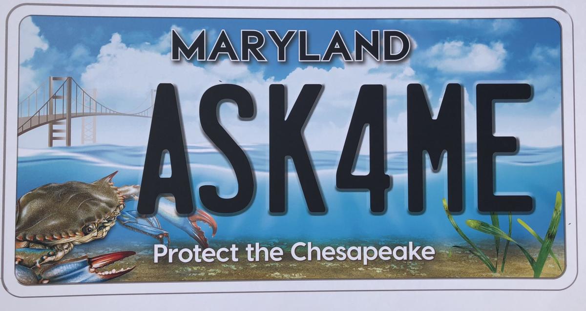 Maryland unveils newest Chesapeake Bay license plate design Local