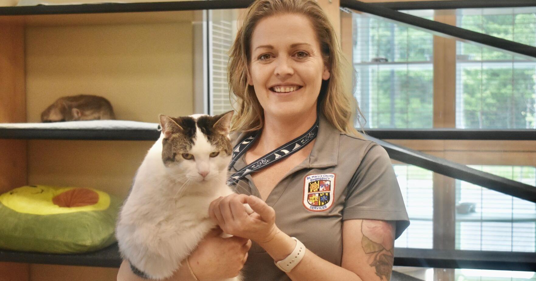 New animal shelter in St. Mary's finds its stride - Vimarsana News