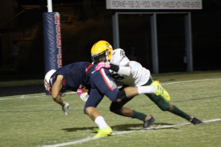 Rex Fleming (Northern football)