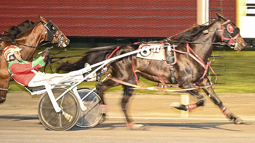 Local horsemen continue to compete