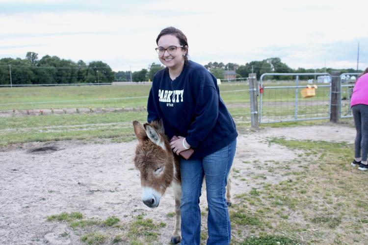 donkey.JPG