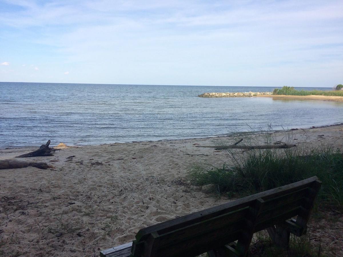New Elms Beach Park master plan approved Local News