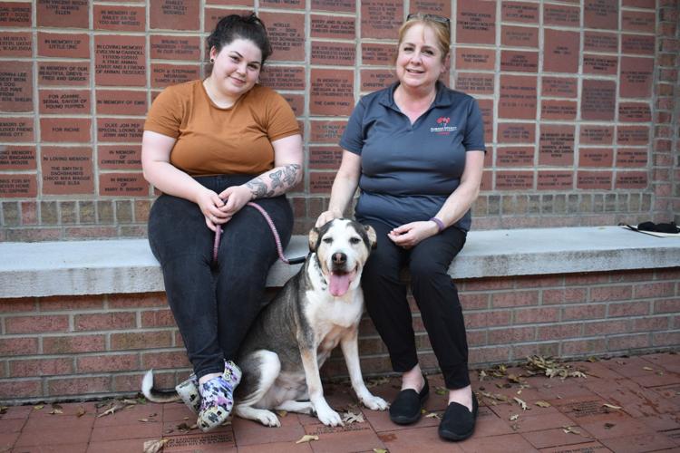 Humane Society of Charles County senior dogs fetch grant | Local News |  