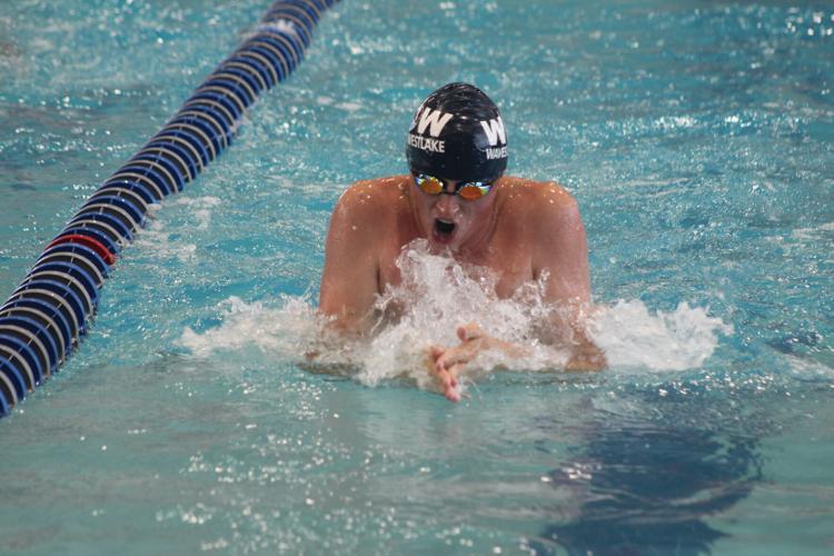 North Bay League swimmers face off in championships, try to qualify for  North Coast Section meet