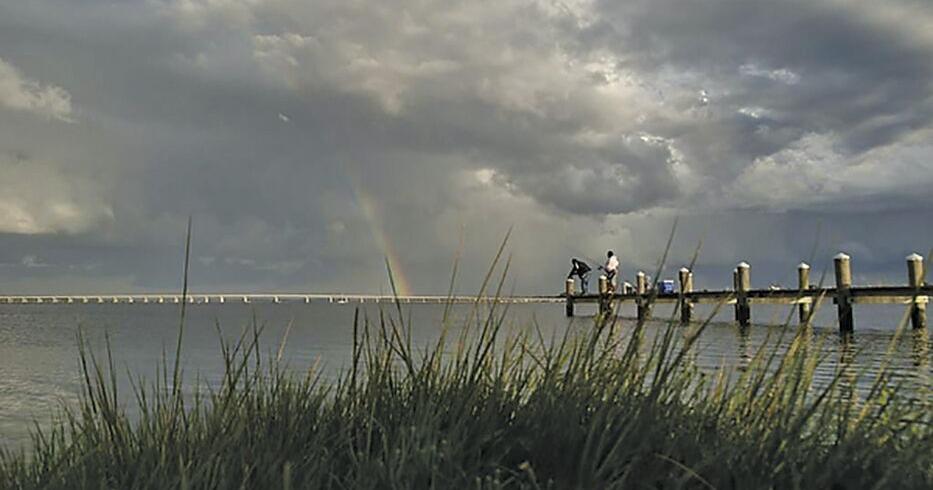 Chesapeake Bay dead zone smaller than average this year | State ...